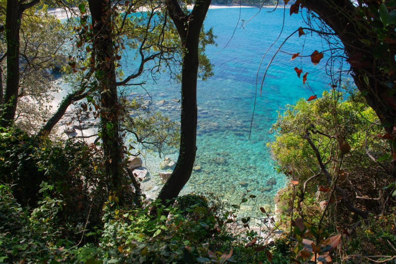 Pelion Bnb Luxury Homes Damouchari Dış mekan fotoğraf